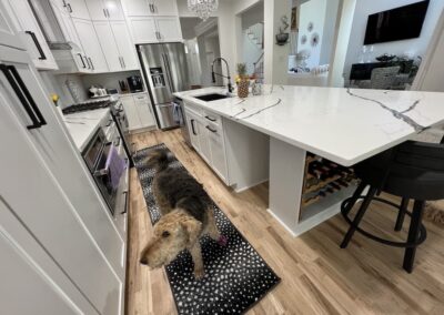 KItchen Cabinets Raleigh Modern Kitchen Slick Lines And Their Dog Pepper